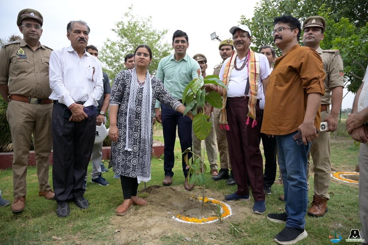 Wildlife SOS team, officials and students participate in a large-scale tree plantation campaign and environmental awareness activities in Mathura on World Environment Day 2026